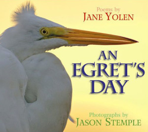 An Egret's Day by Jane Jolen