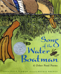 Song of the Water Boatman by Joyce Sidman