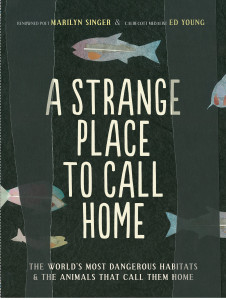A Strange Place to Call Home by Marilyn Singer