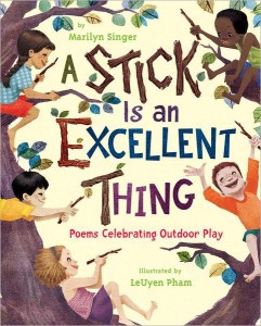 A Stick Is an Excellent Thing by Marilyn Singer